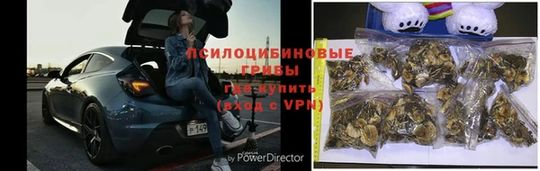 apvp Баксан