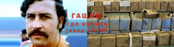 крисы Балахна