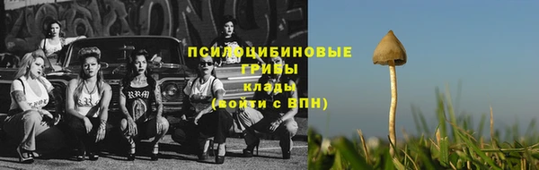 крисы Балахна