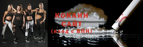 шишки Балабаново