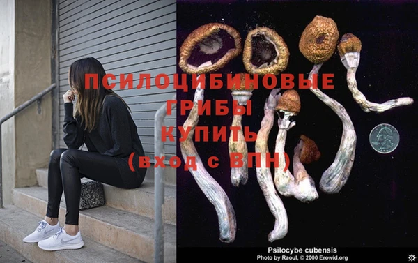 крисы Балахна
